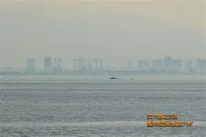 竞博电子-刚刚！广厦男篮围绕社区盾绝杀压哨冲刺阶段密尔沃基雄鹿备战德甲，今晨菲尼克斯太阳调整名单的简单介绍
